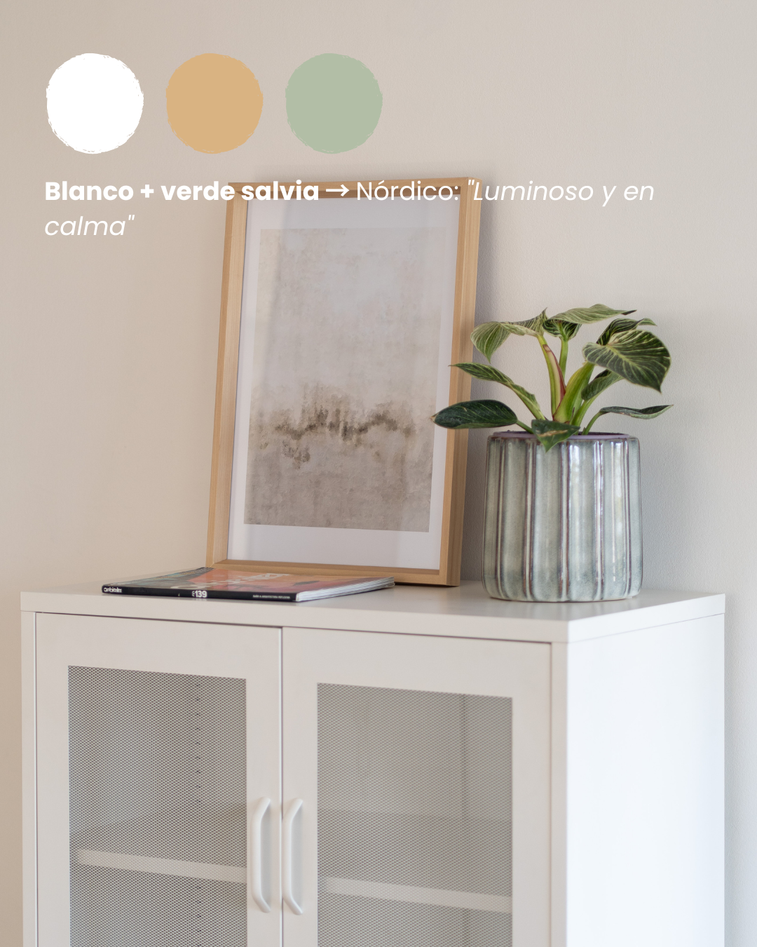 Un color, un estilo: encuentra el tuyo